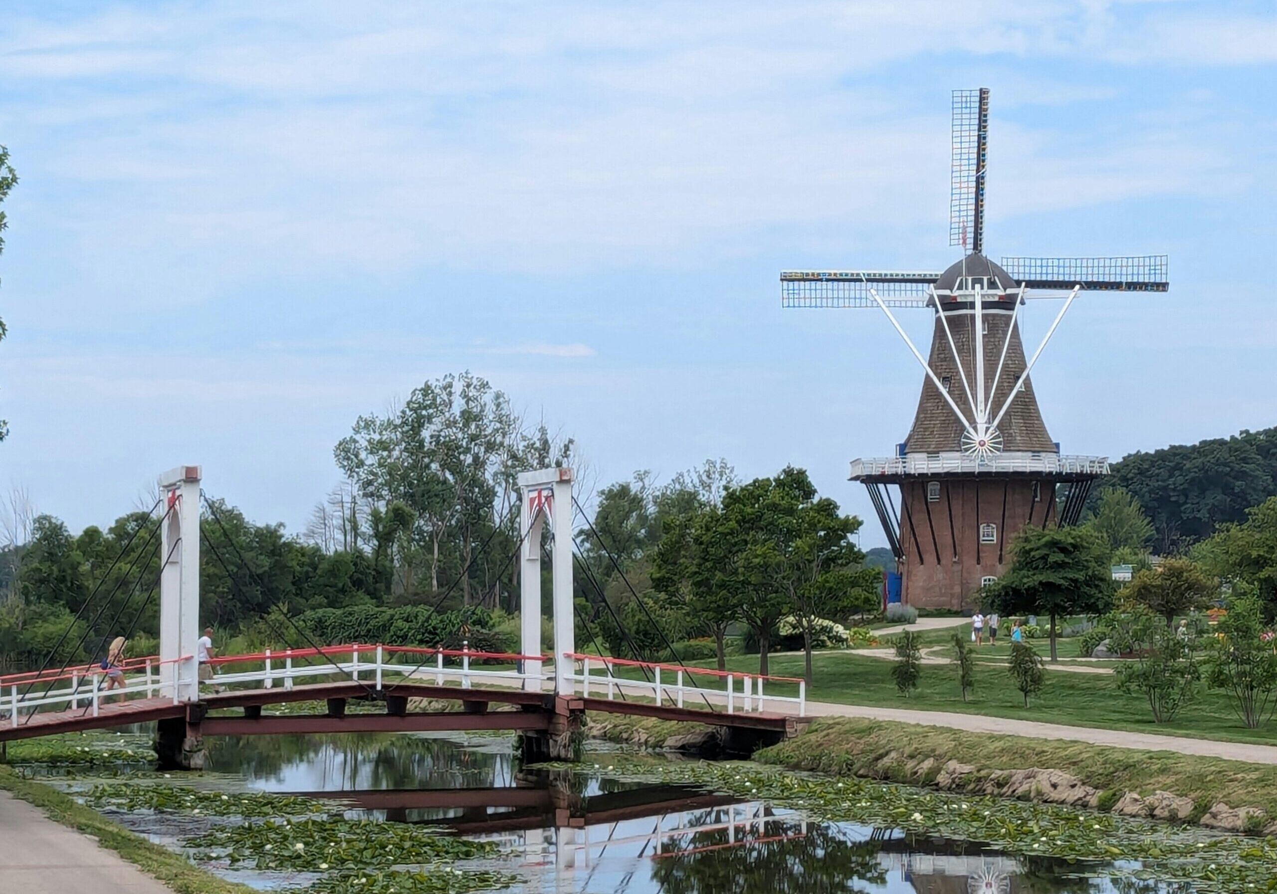 chad-jones-OrCCobl58AE-unsplash